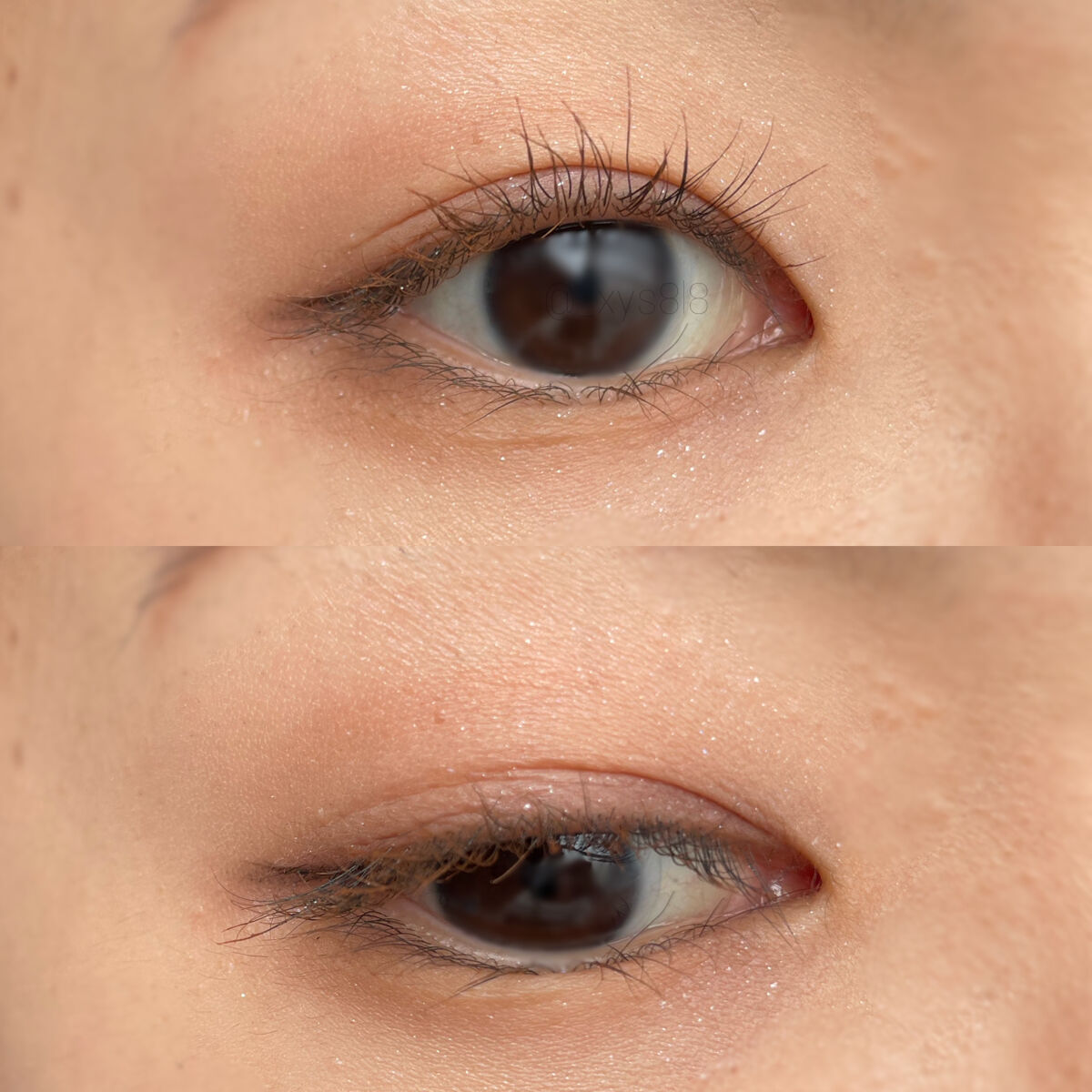 ミゼルエディ カールアップマスカラ/ミゼルエディ/マスカラを使ったクチコミ（2枚目）