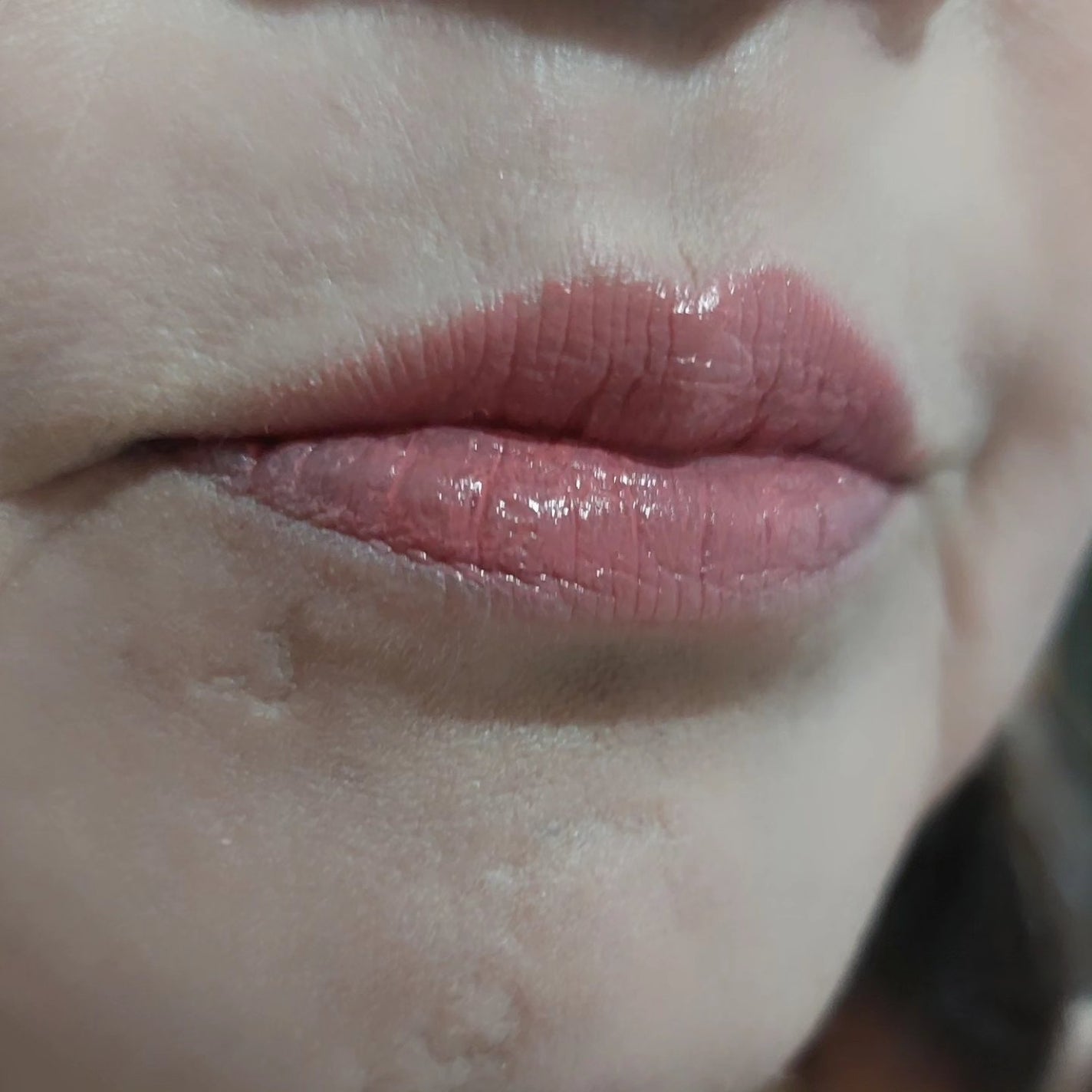 ネンマクフェイク ルージュ/Visée/口紅を使ったクチコミ(3枚目)