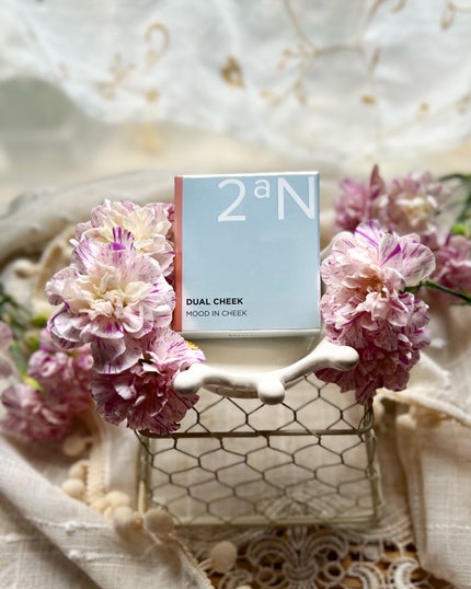 デュアルチーク/2aN/パウダーチークを使ったクチコミ(5枚目)