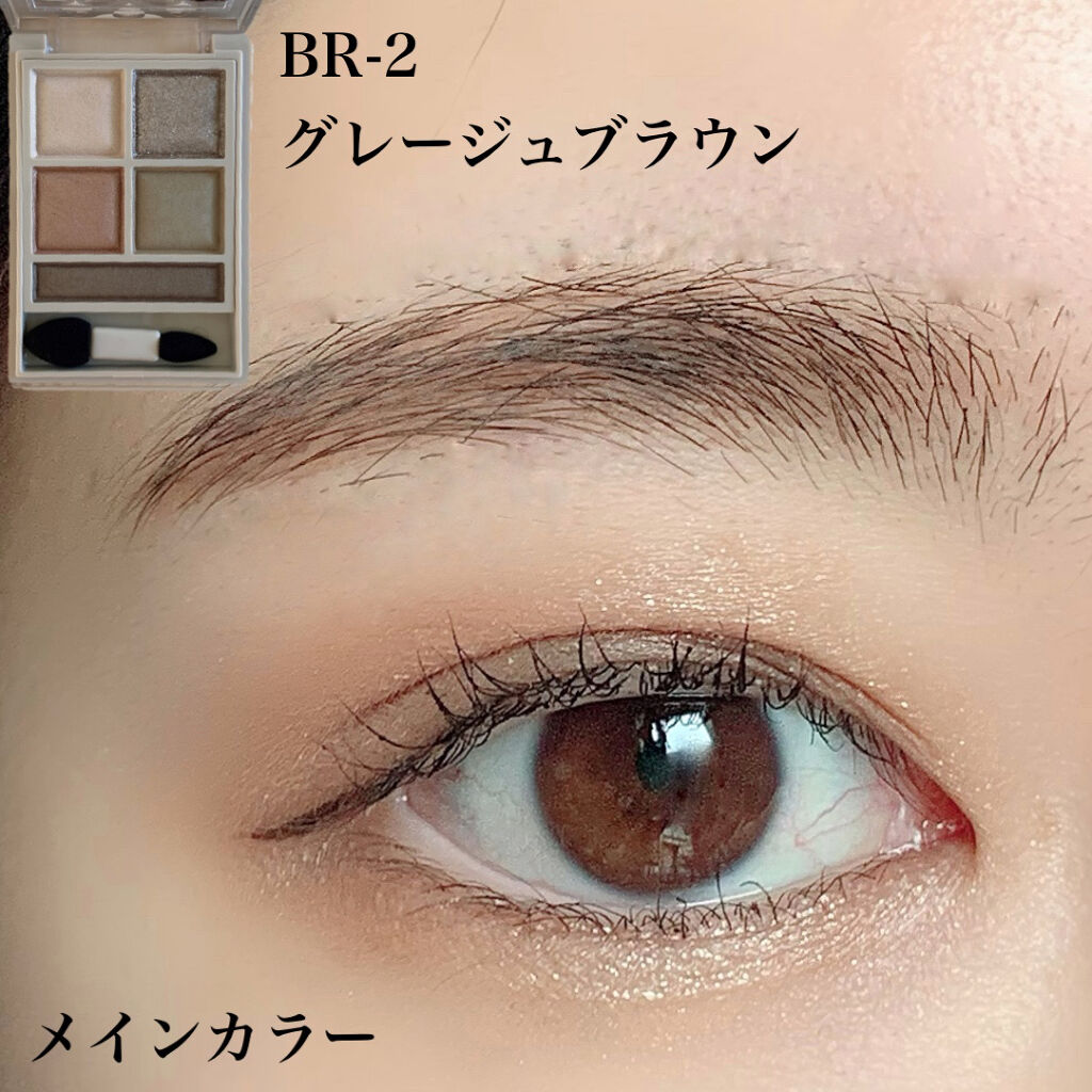 パノラマデザイン アイパレット/Visée/アイシャドウパレットを使ったクチコミ（2枚目）