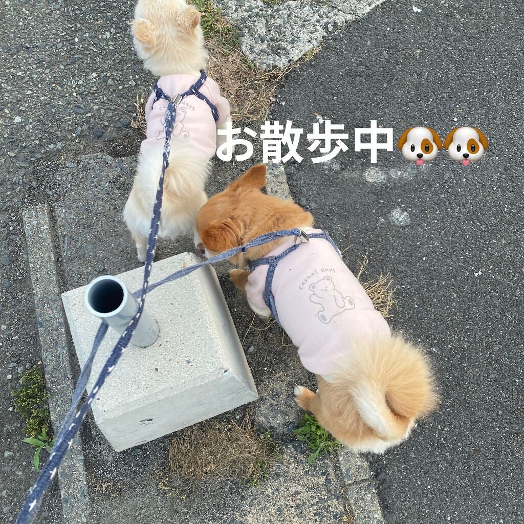 ぷぅぴぃ《紫コス部💜💗》 on LIPS 「サンリオKuromiリップクリームクロミちゃん💖ベリーの香り♡..」(4枚目)