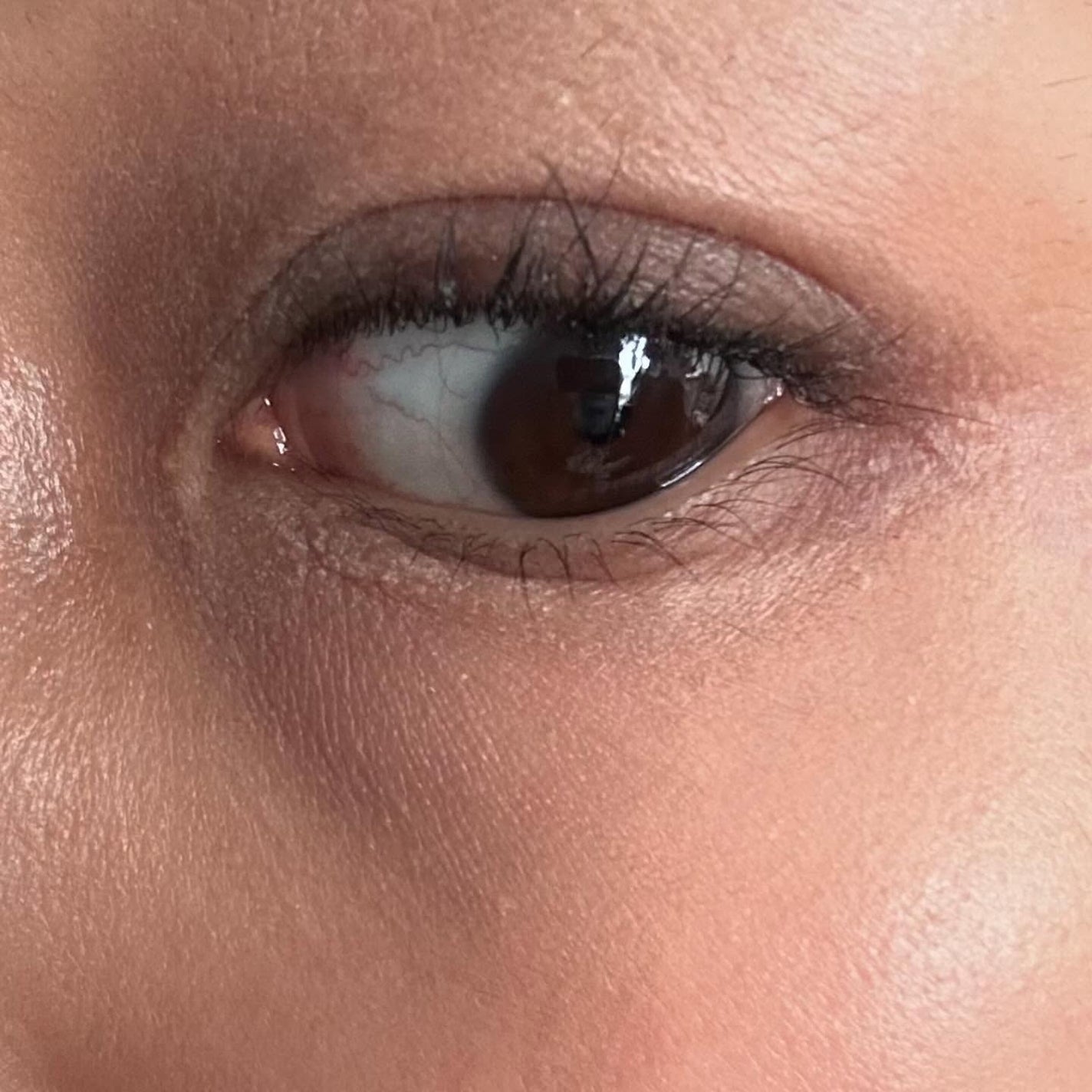 ラッシュアディクト ラッシュ トランスカラ/soaddicted/マスカラ下地を使ったクチコミ(3枚目)