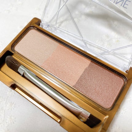 ノーズ&アイブロウパウダー/CEZANNE/パウダーアイブロウを使ったクチコミ(5枚目)