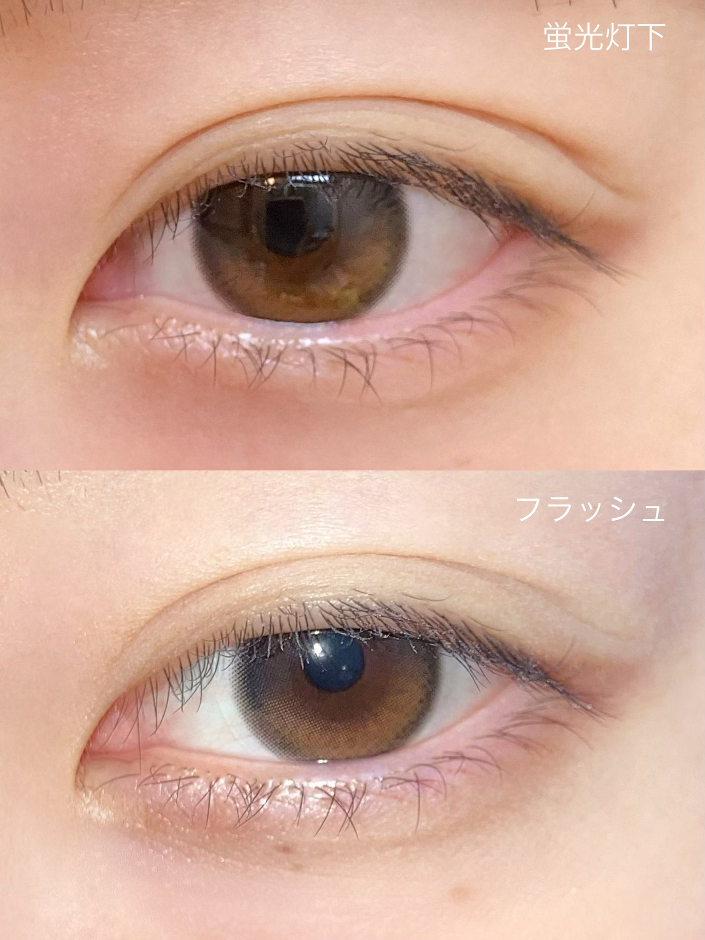 Glowy 1day/OLENS/ワンデー(1DAY)カラコンを使ったクチコミ(3枚目)