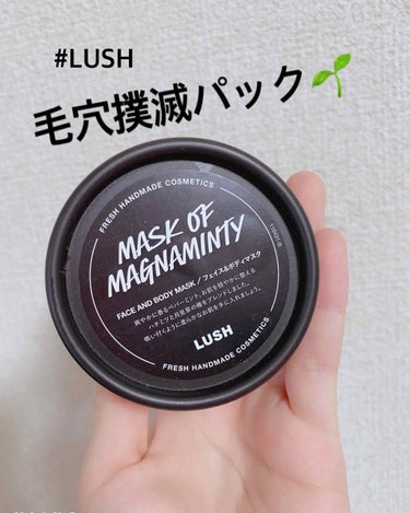 LUSH / パワーマスク

毛穴が気になるなぁーって人にオススメです！

たまたまふらぁーと入ったLUSHで店員さんがオススメしてくれたパック🌱
試しに購入し使ってみたら、めっちゃ良かった…！



