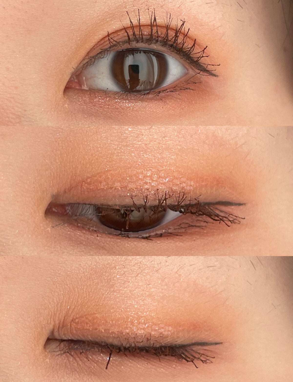 シャドウパレット/dasique/アイシャドウパレットを使ったクチコミ(2枚目)