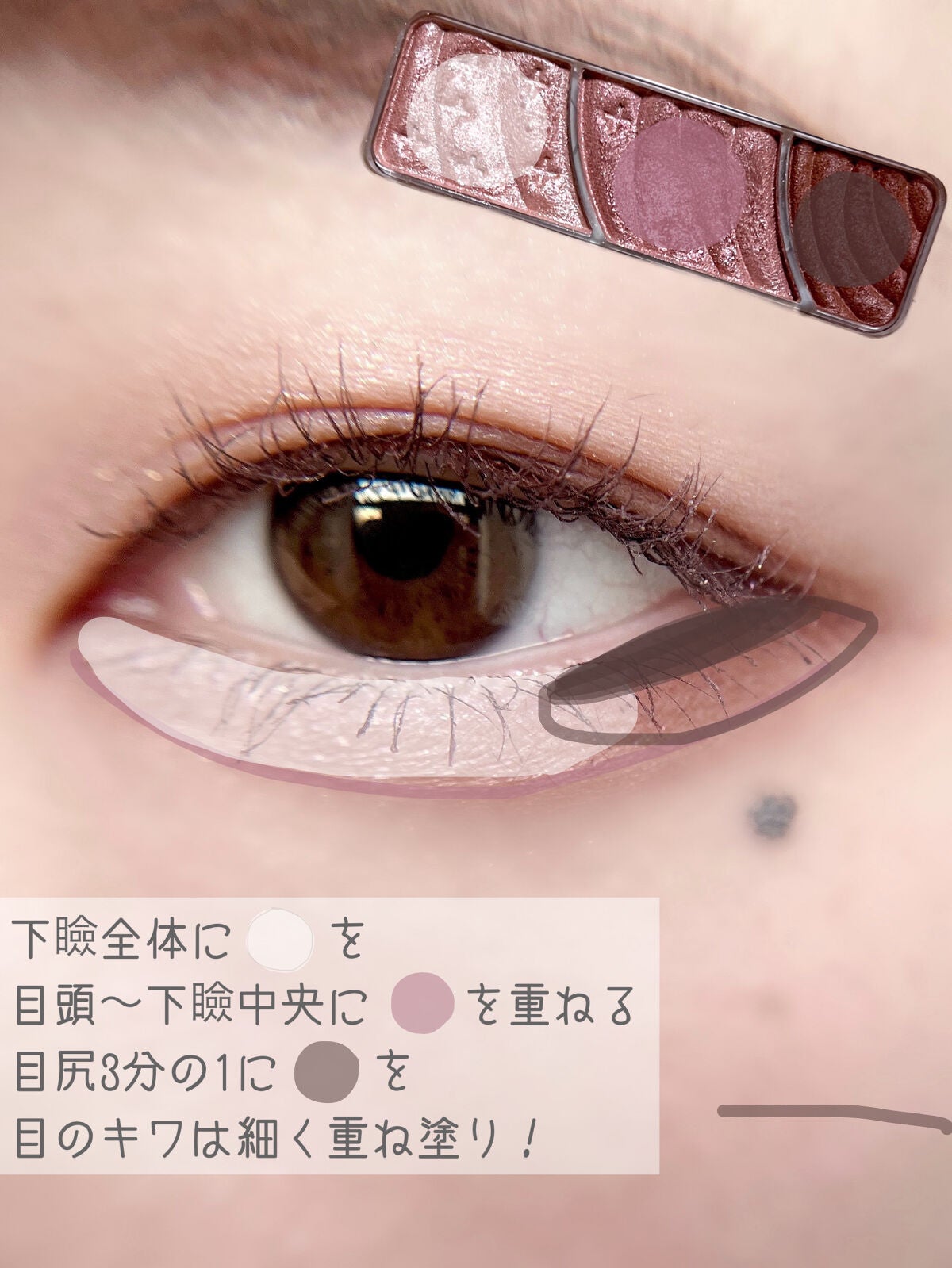 トーンアップアイシャドウ/CEZANNE/アイシャドウパレットを使ったクチコミ(4枚目)