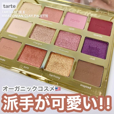 タルトレット Ｅ  アマゾニアンクレイ パレット/tarte/アイシャドウパレットを使ったクチコミ（1枚目）