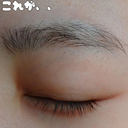 シェイパーポマードアイブロウフィクサー/unleashia/その他アイブロウを使ったクチコミ(3枚目)