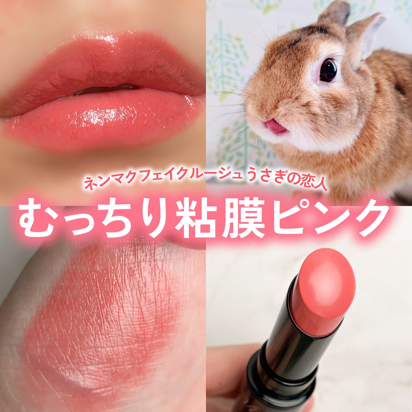 ネンマクフェイク ルージュ/Visée/口紅を使ったクチコミ(1枚目)