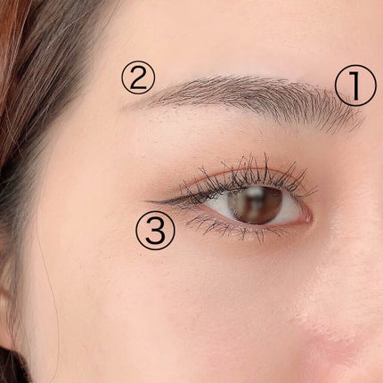 UR GLAM BLOOMING EYE COLOR PALETTE/U R GLAM/アイシャドウパレットを使ったクチコミ(2枚目)