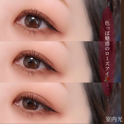 ザ ヘリテージ シャドウパレット/MERZY/アイシャドウパレットを使ったクチコミ(5枚目)