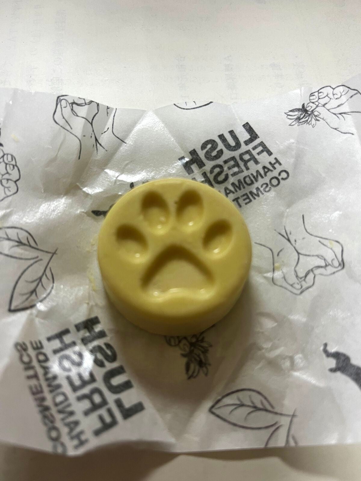 チャリティポット コイン/ラッシュ/ボディローションを使ったクチコミ(1枚目)