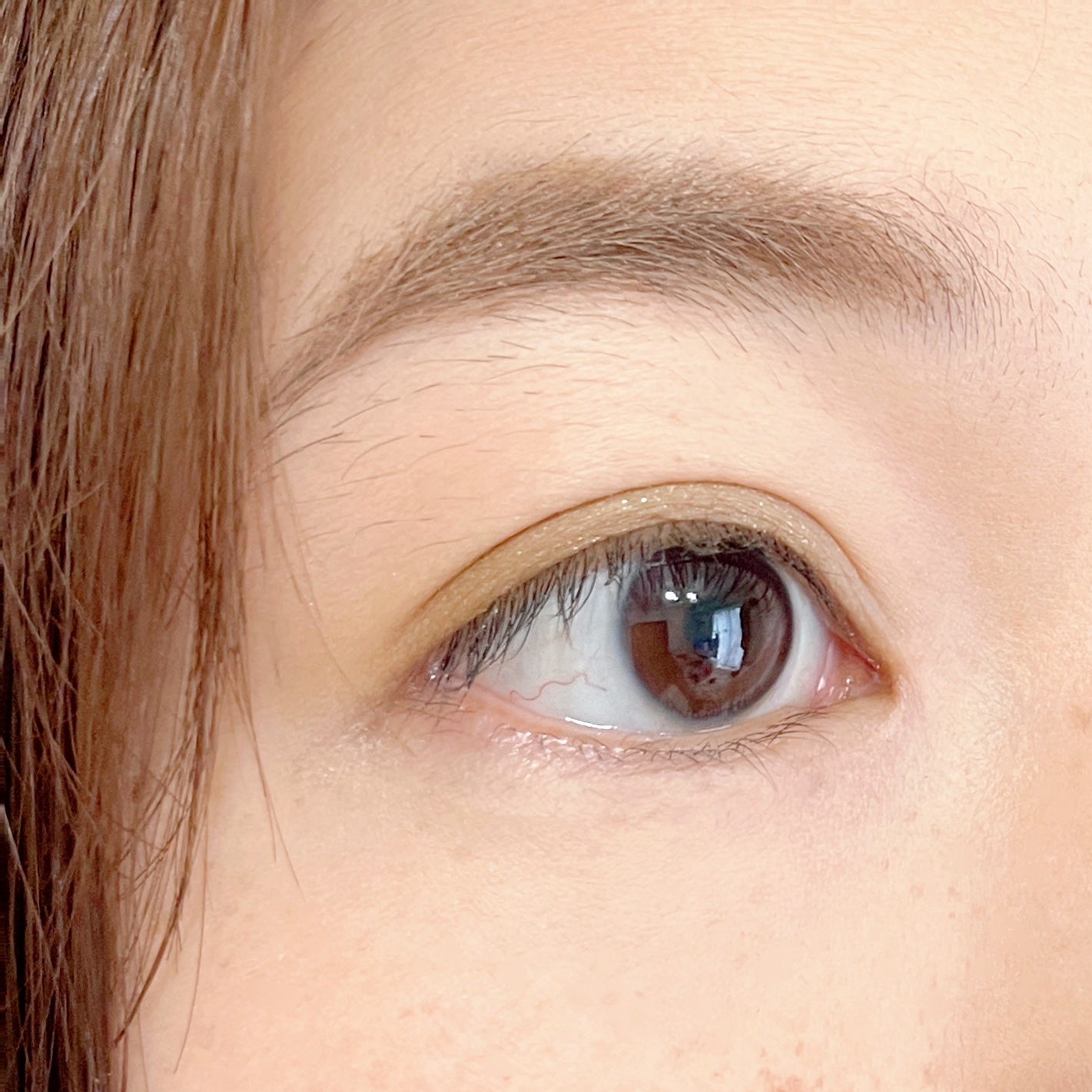 テイラード カラー アイズ/SNIDEL BEAUTY/アイシャドウパレットを使ったクチコミ(6枚目)