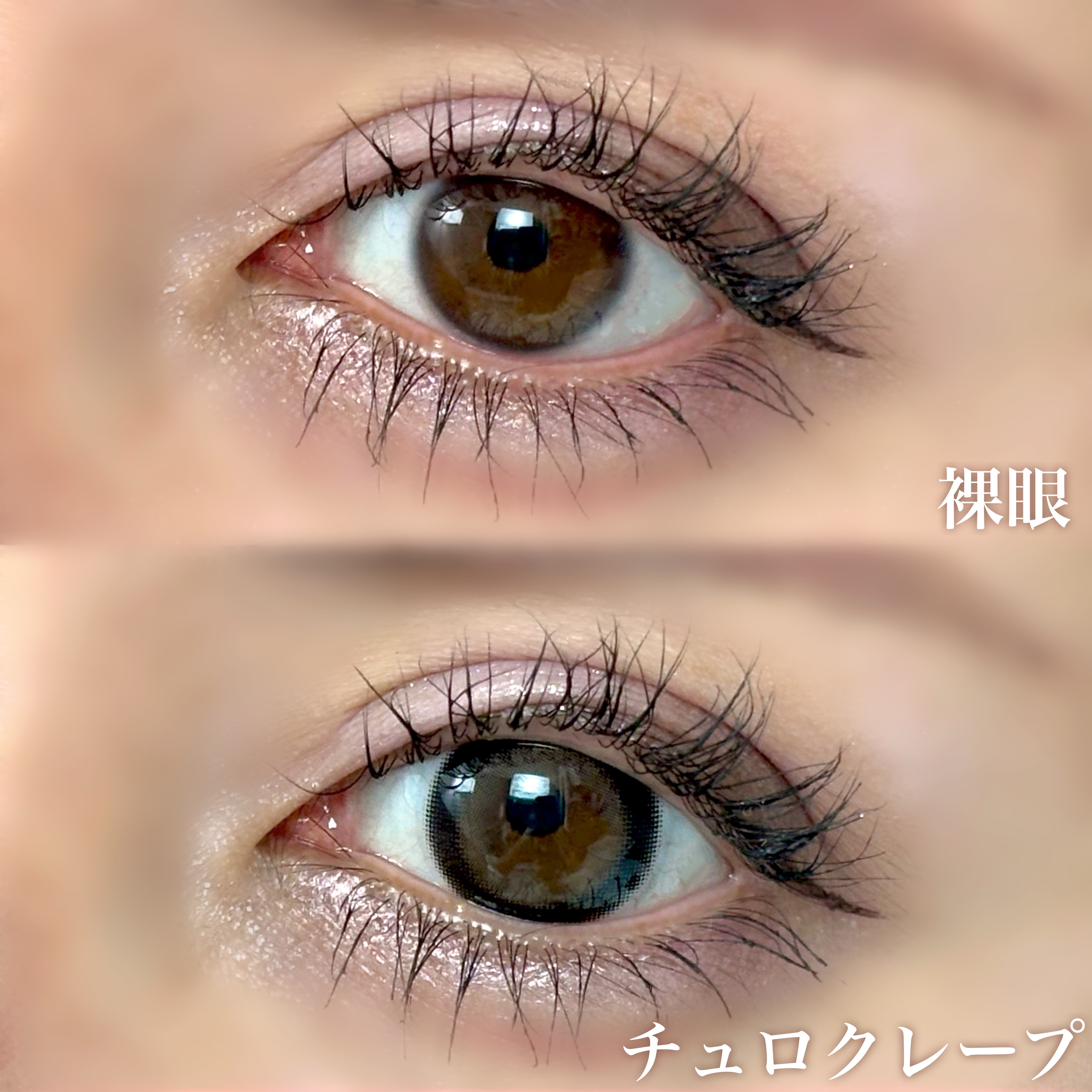 Charton 1day/Charton/ワンデー（１DAY）カラコンを使ったクチコミ（3枚目）