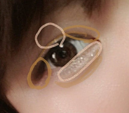 シングルカラーアイシャドウ/CEZANNE/単色アイシャドウを使ったクチコミ(2枚目)