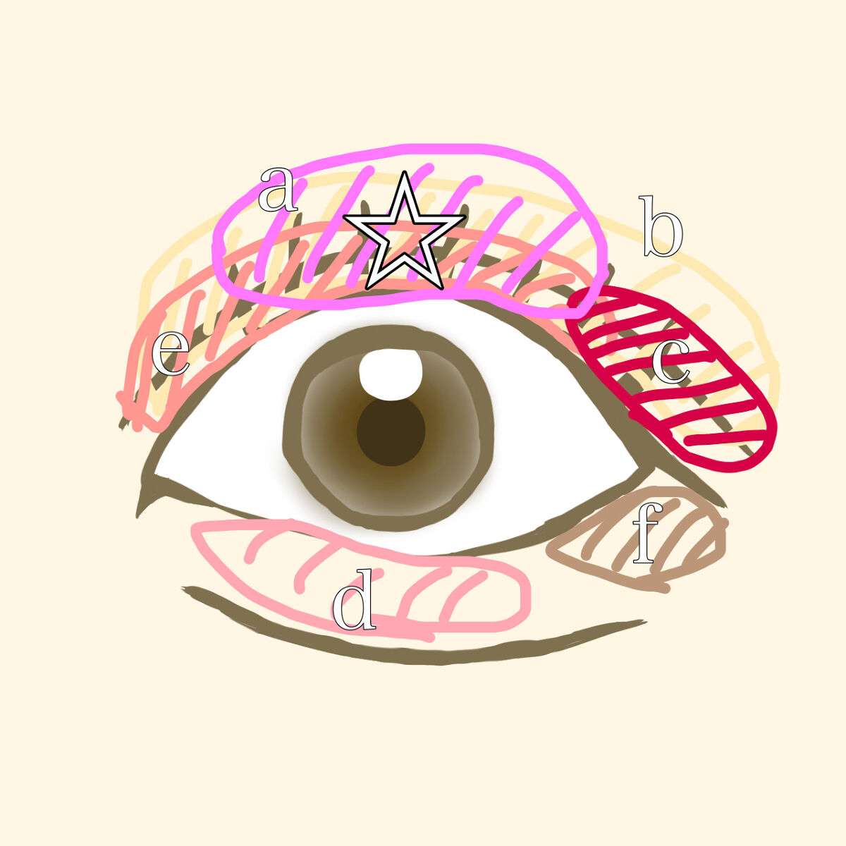 シェーディングパウダー/キャンメイク/シェーディングを使ったクチコミ（3枚目）