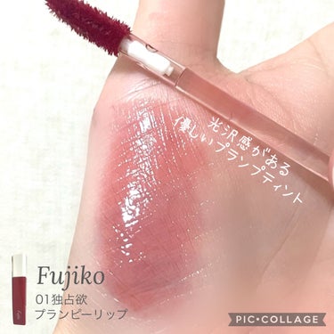 プランピーリップ 01 独占欲/Fujiko/リップグロスを使ったクチコミ（1枚目）