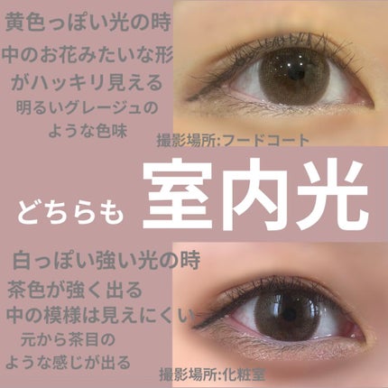 eye closet 1day View Rosetta/EYE CLOSET/ワンデー(1DAY)カラコンを使ったクチコミ(1枚目)