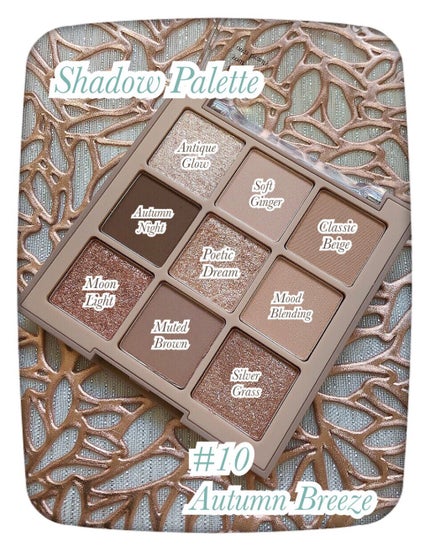 シャドウパレット/dasique/アイシャドウパレットを使ったクチコミ(3枚目)