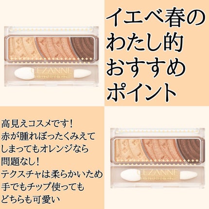 トーンアップアイシャドウ/CEZANNE/アイシャドウパレットを使ったクチコミ(4枚目)