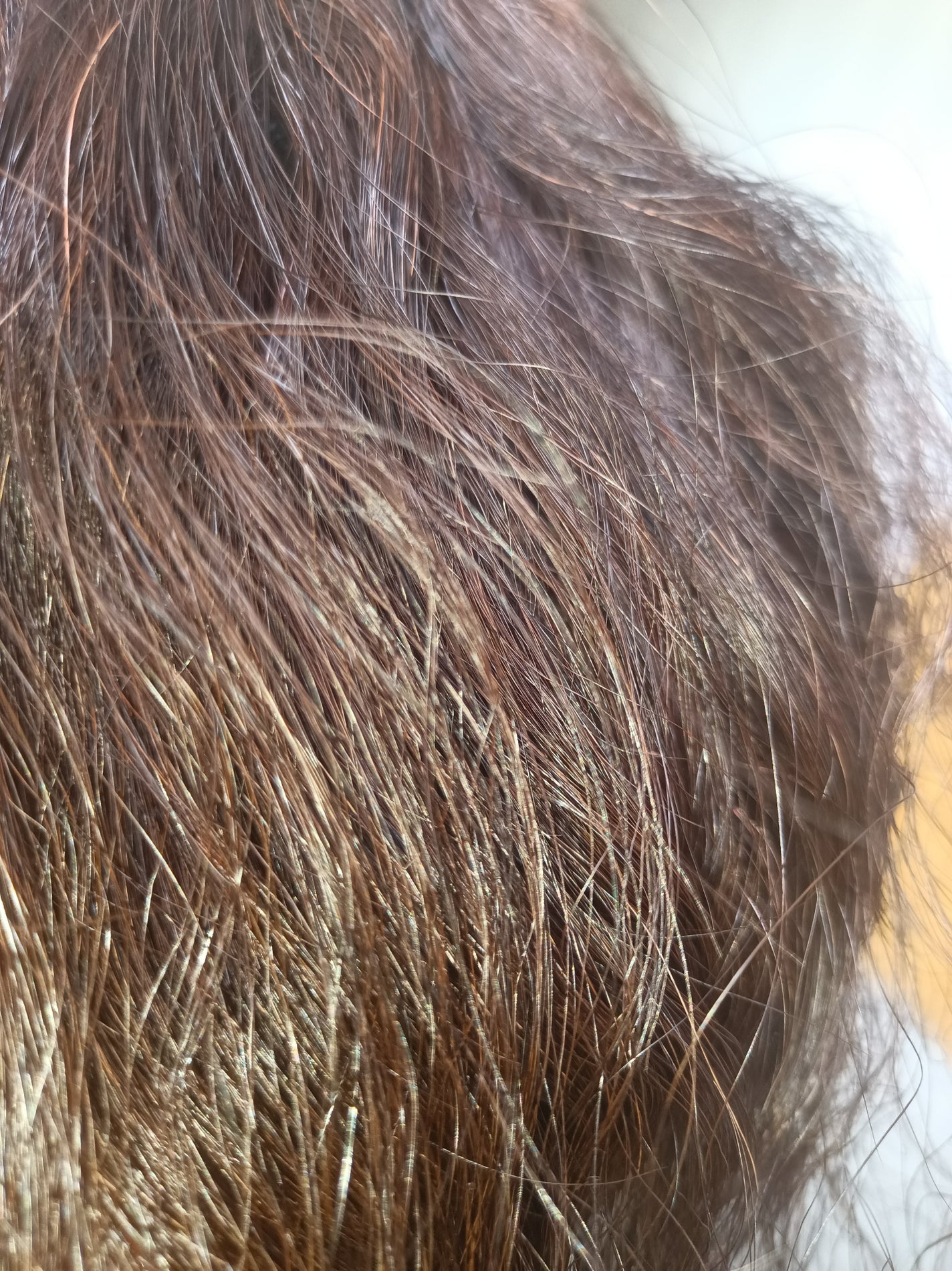 ウエラ カラースタジオ クリームタイプヘアカラー/ウエラ/ヘアカラーを使ったクチコミ(8枚目)