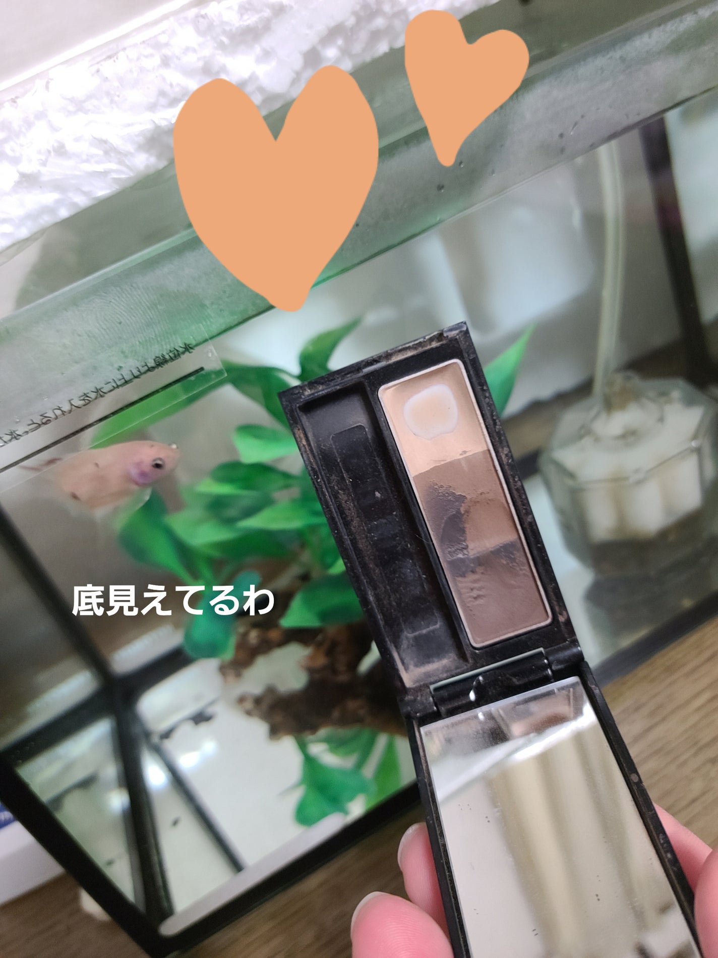 ã±ã€ã ãã¶ã€ãã³ã°ã¢ã€ãããŠ3D/KATE/ããŠããŒã¢ã€ãããŠã䜿ã£ãã¯ãã³ãïŒ1æç®ïŒ