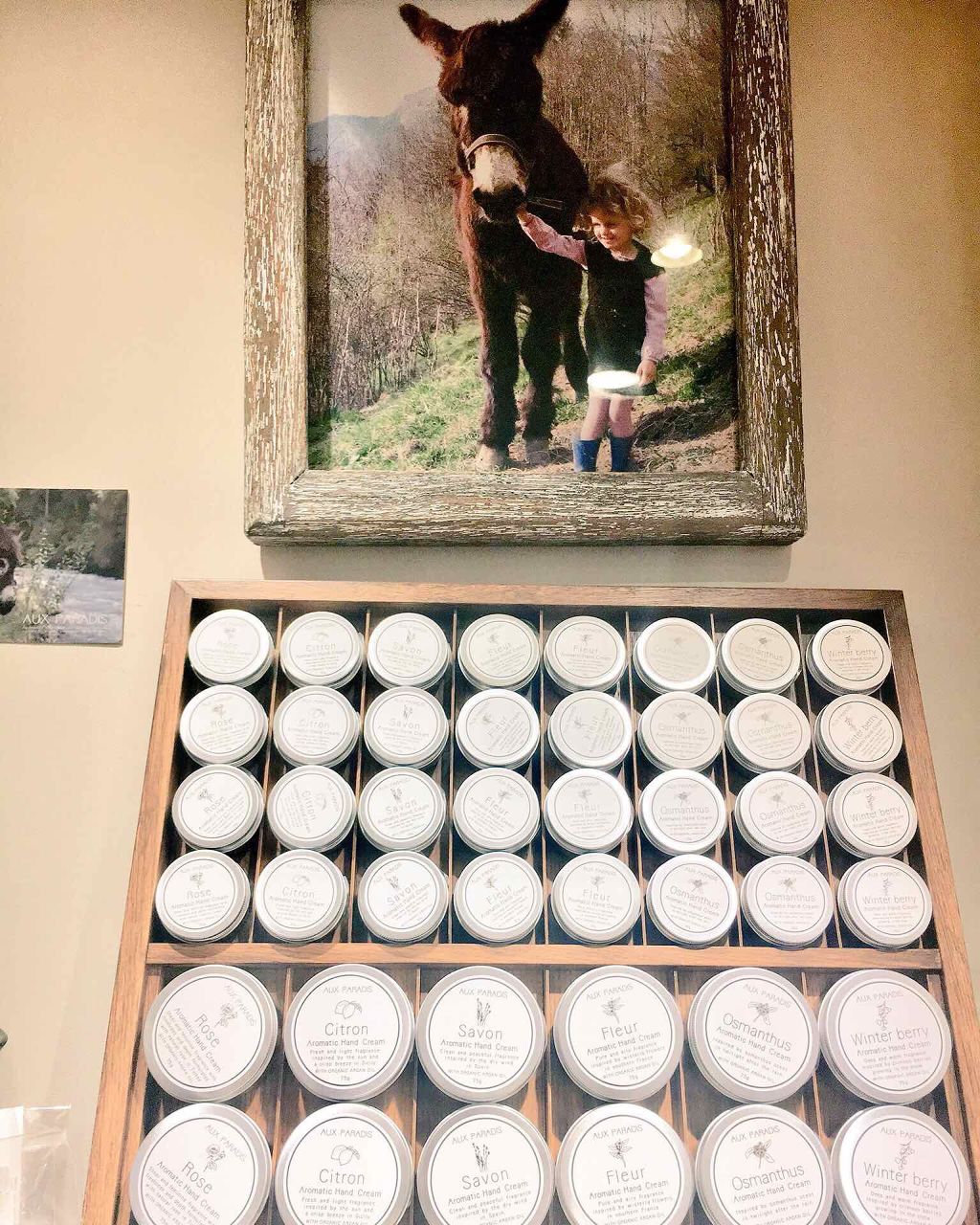 オードパルファム #07 Osmanthus 〔オスマンサス〕/AUX PARADIS/香水(レディース)を使ったクチコミ(4枚目)