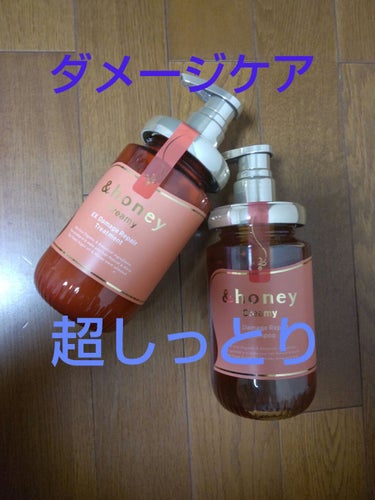 Creamy EXダメージリペアシャンプー1.0/ヘアトリートメント2.0/&honey/シャンプー・コンディショナーを使ったクチコミ（1枚目）