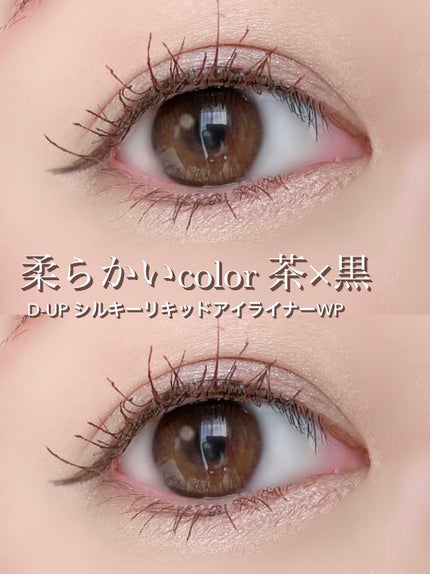 シルキーリキッドアイライナーWP/D-UP/リキッドアイライナーを使ったクチコミ(1枚目)