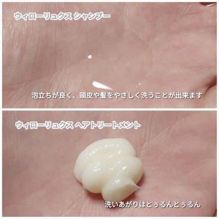 グランドリンケージ ウィローリュクス シャンプー/ヘアトリートメント/ミルボン/サロンシャンプーを使ったクチコミ(3枚目)