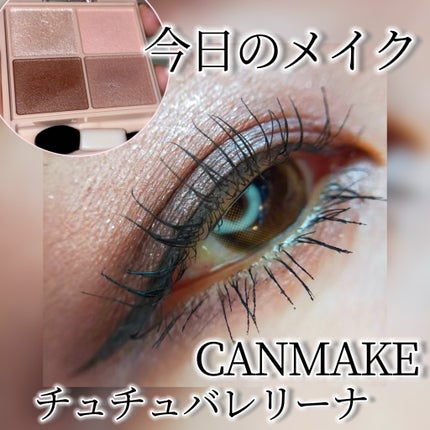 シルキースフレアイズ(マットタイプ)/キャンメイク/アイシャドウパレットを使ったクチコミ(1枚目)