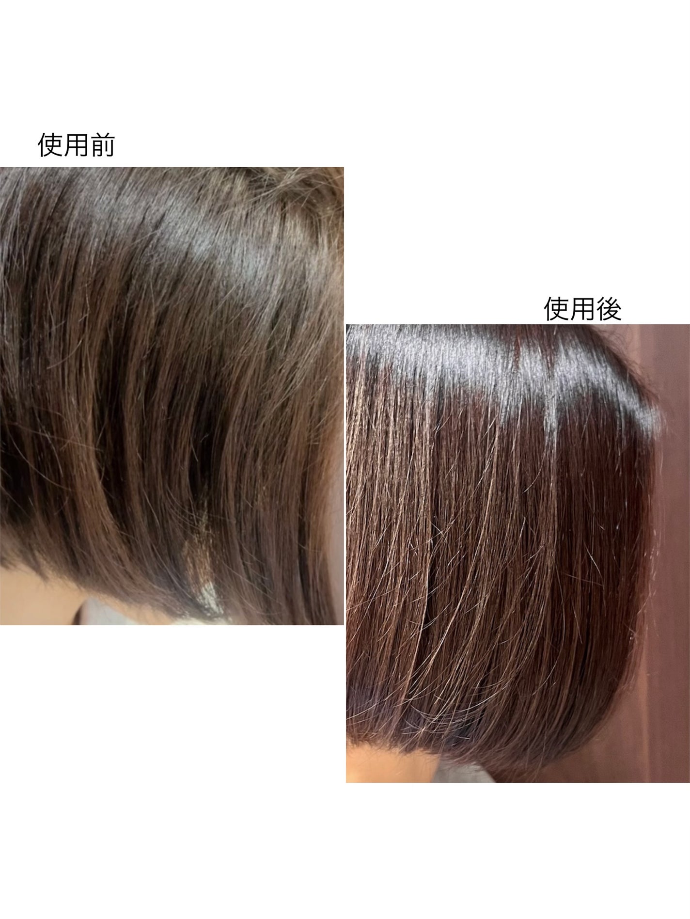 GLOSSY COAT SHAMPOO / TREATMENT/SANUS HAIR FILTER/市販シャンプーを使ったクチコミ(8枚目)