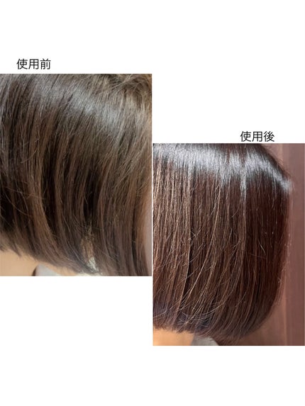 GLOSSY COAT SHAMPOO / TREATMENT/SANUS HAIR FILTER/市販シャンプーを使ったクチコミ(8枚目)