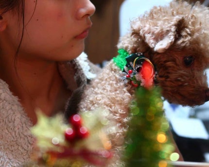 K_M on LIPS ãðMerryX'masðçããã¯ã©ããªã€ããããããã®ããªâšæ..ãïŒ2æç®ïŒ