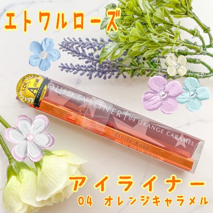 アイライナー/Étoile Rose/リキッドアイライナーを使ったクチコミ(1枚目)