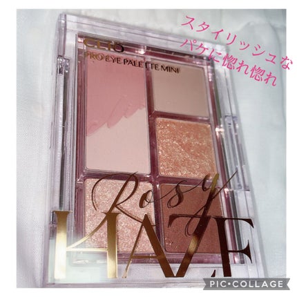 プロ アイ パレット/CLIO/アイシャドウパレットを使ったクチコミ(5枚目)
