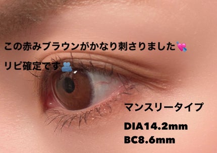 アンヴィ マンスリー PERIM CHOCOLAT/envie/1ヶ月(1MONTH)カラコンの画像