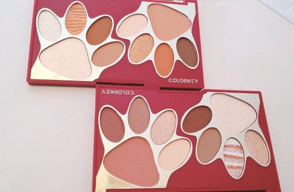 トラ十色アイシャドウパレット/COLORKEY/アイシャドウパレットを使ったクチコミ(1枚目)