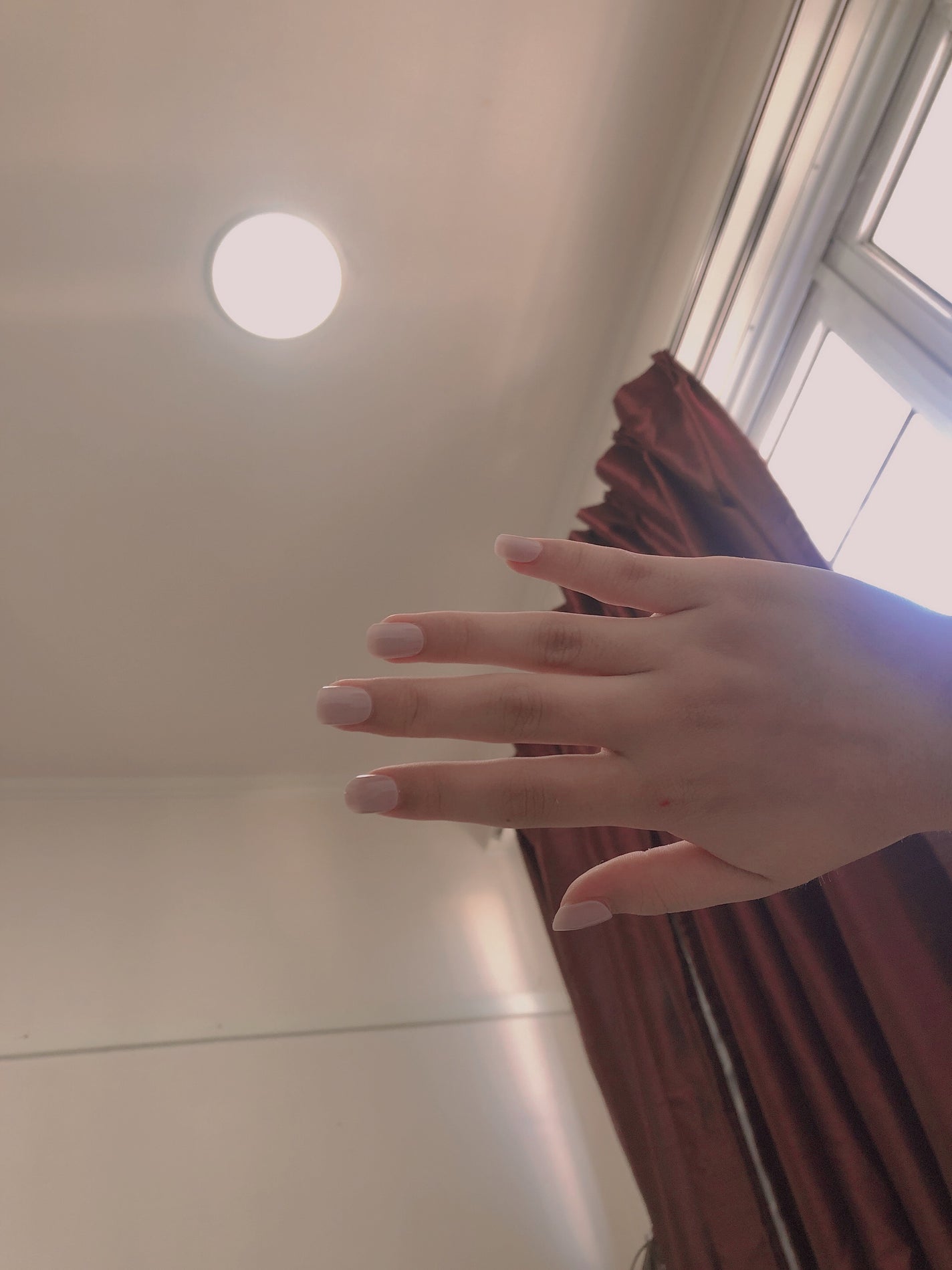 ジェリーチップ/GELLY TIP/ネイルチップ・パーツを使ったクチコミ(1枚目)