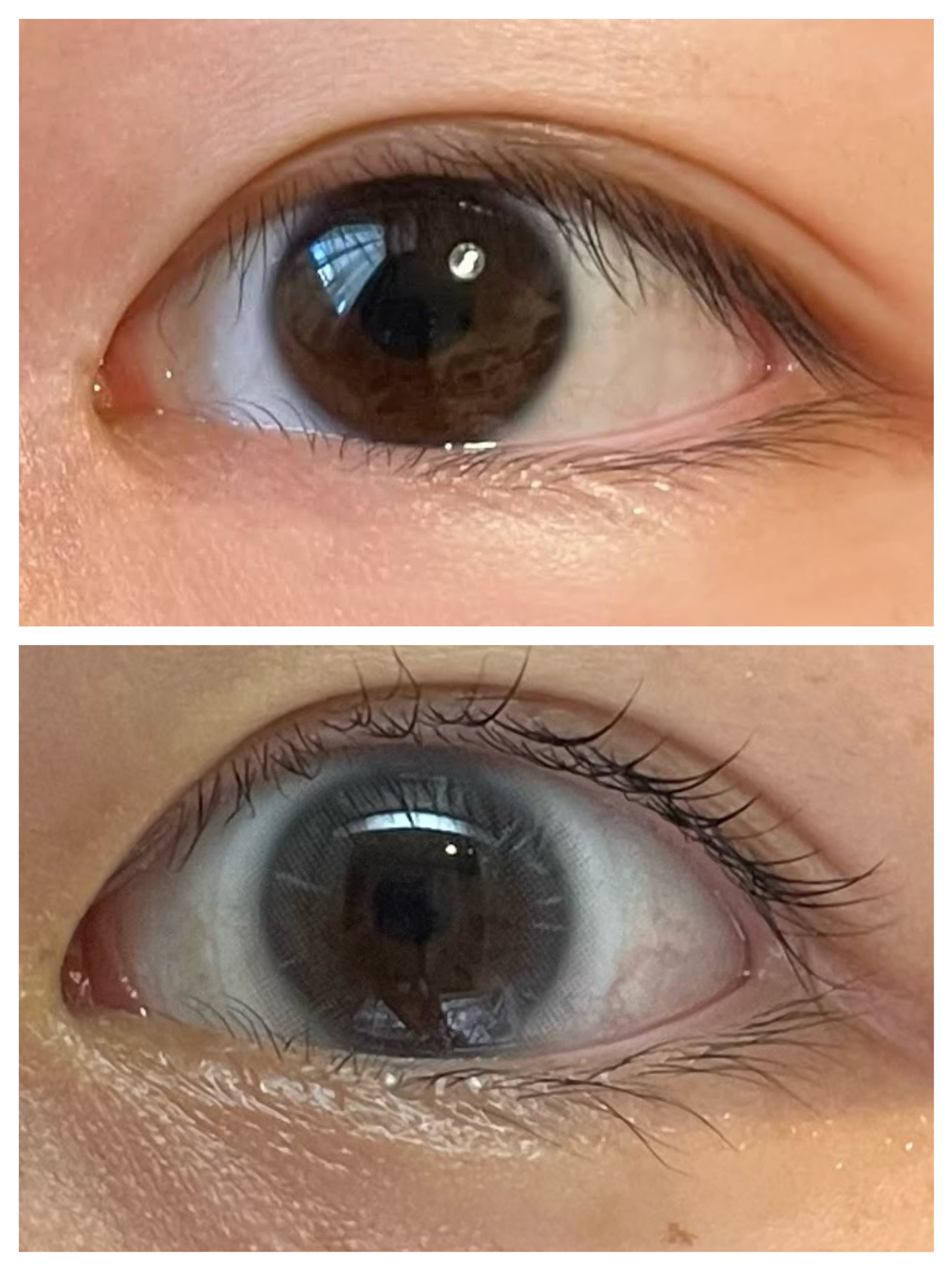 1-DAY Refrear dolemi ホログレージュ/Refrear/ワンデー（１DAY）カラコンを使ったクチコミ（2枚目）