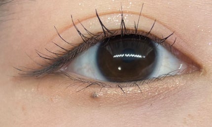 ベターザンパレット/rom&nd/アイシャドウパレットを使ったクチコミ(1枚目)