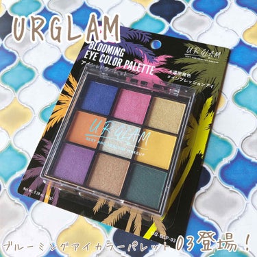 UR GLAM　BLOOMING EYE COLOR PALETTE/U R GLAM/アイシャドウパレットを使ったクチコミ（1枚目）