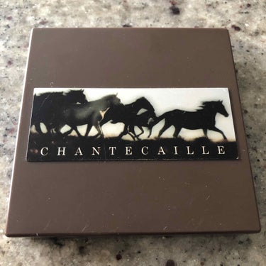 ついに手を出してしまいました...🤭
Chantecaille👏🏻
インスタで見るだけにしてたんですけど...💦
The Wild Horses Palette🐎です。

中にシートが入っててそのシート