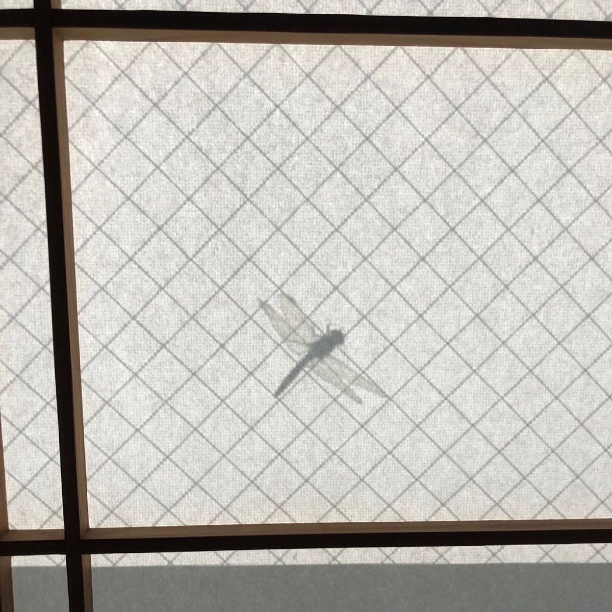 行場 on LIPS 「秋だね〜🍁#セルフネイル部#セルフネイル#nail#秋ネイル#..」(5枚目)