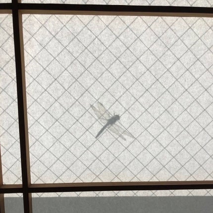 行場 on LIPS 「秋だね〜🍁#セルフネイル部#セルフネイル#nail#秋ネイル#..」(5枚目)