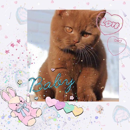 青箱 (さっぱり)/カウブランド/ボディ石鹸を使ったクチコミ(1枚目)