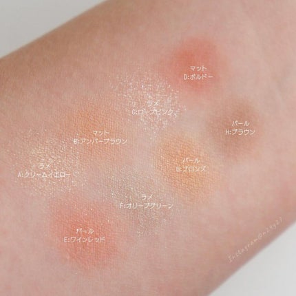 SAINKO ベルベットアイシャドウパレット/SAINKO/アイシャドウパレットを使ったクチコミ(5枚目)