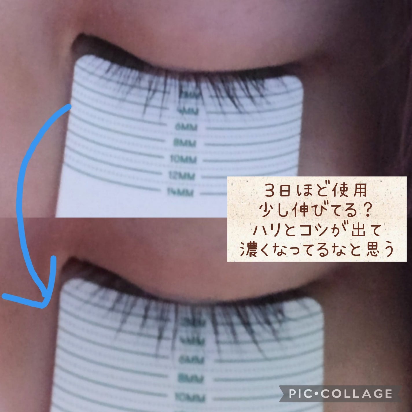 プロCICA フォーカシングアイラッシュセラム/VT/まつげ美容液を使ったクチコミ(3枚目)