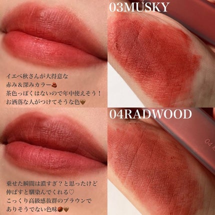 rom&nd ブラーファッジティント/rom&nd/リップティントを使ったクチコミ(5枚目)